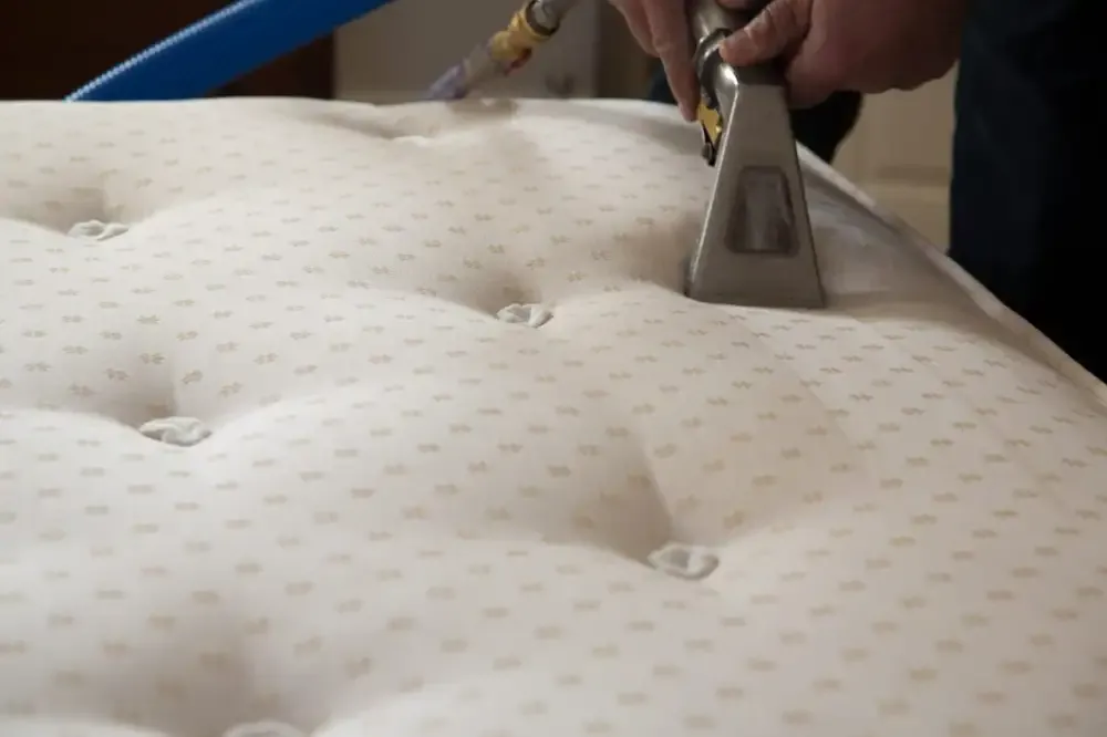 Mattress Cleaning Services