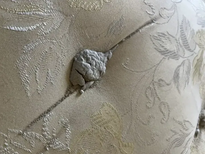 Mattress Cleaning - Before