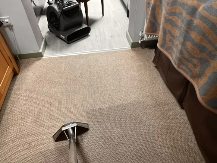 Carpet Cleaning
