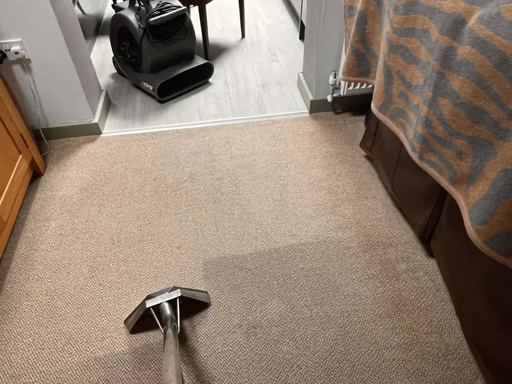 Carpet Cleaning Services