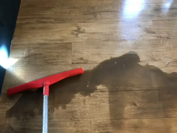 Floor Cleaning