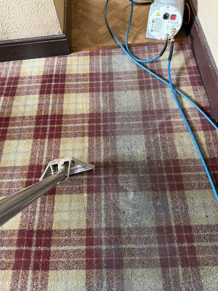 Carpet Cleaning in Progress
