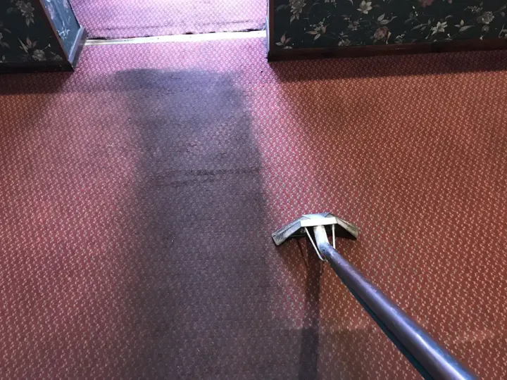 Carpet being cleaned