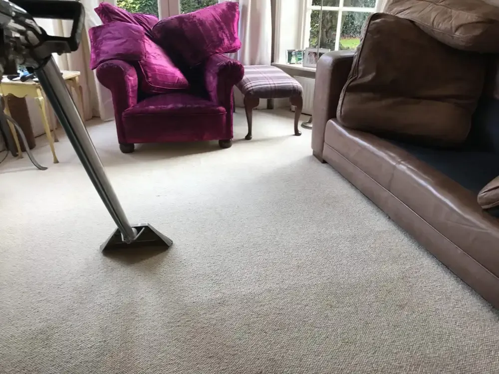 Carpet Cleaning Services