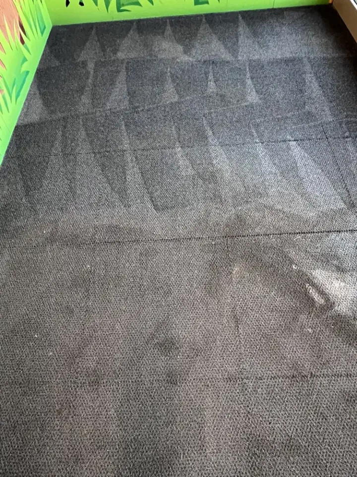 Carpet Cleaning